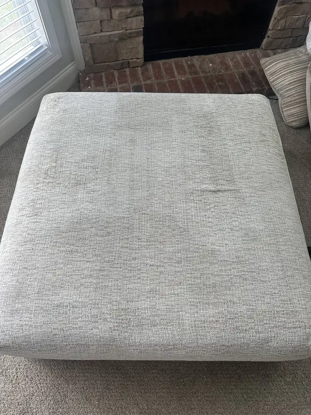 Pet odor removal couch cleaning Duluth GA